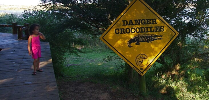 Danger crocodiles